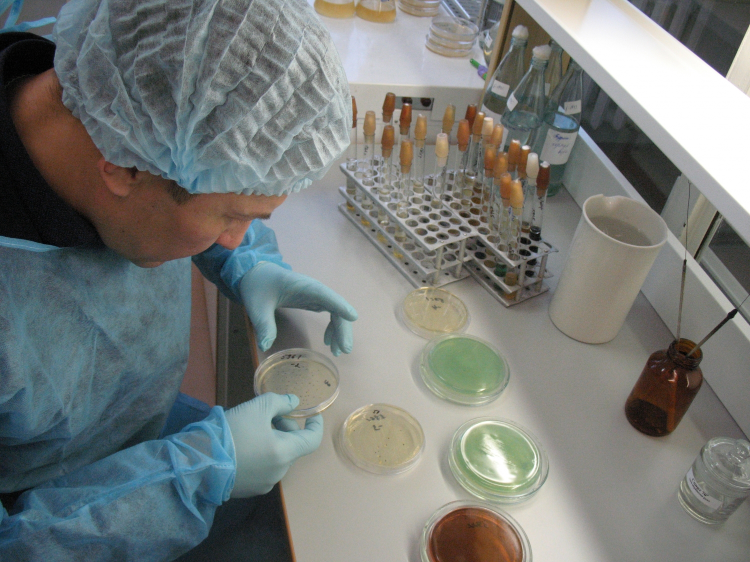 Лаборатории 1 2 групп патогенности